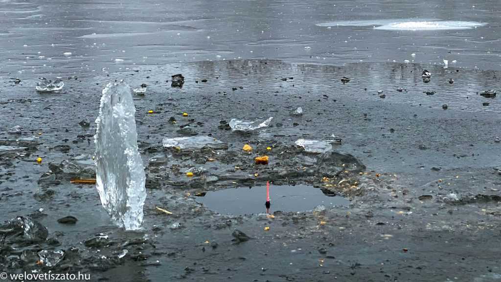 Lékhorgászat a Tisza-tavon