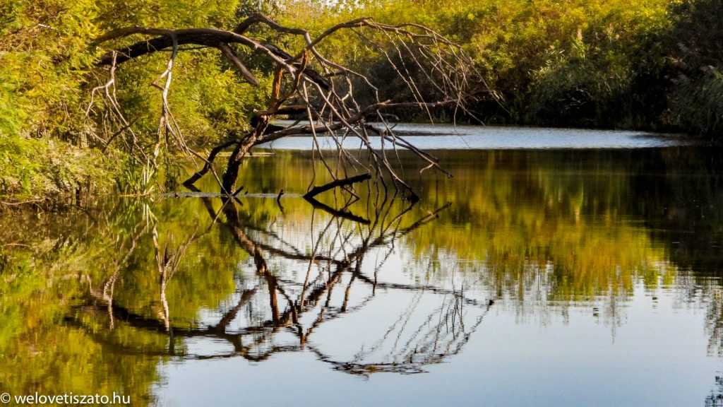 Őszi csónaktúrák a Tisza-tavon