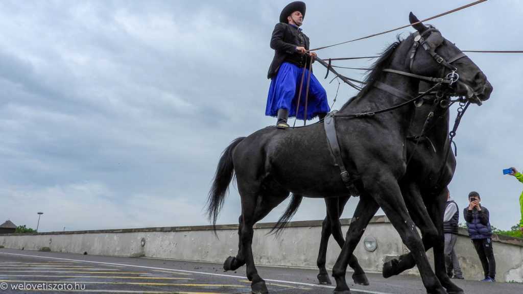 Ott voltunk: Hortobágy, tavaszi kihajtás