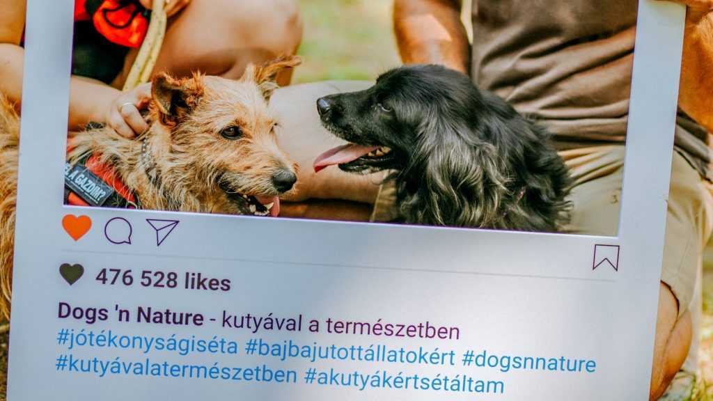 Dog’s Nature – Kutyával a természetben