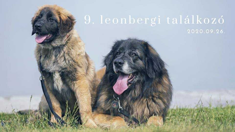 Programajánló szeptember 25-27. hétvégére