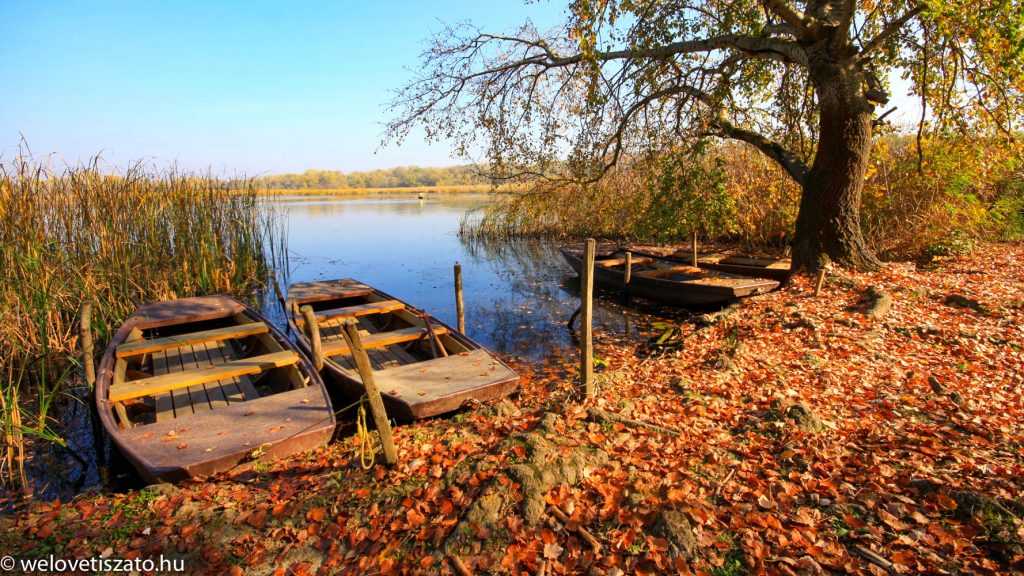 Őszi program: Tiszavirág Átéri Sétaút – Pákász Tanösvény