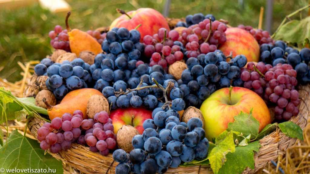 Kunmadarasi Ferdinánd és Pötyőke. Ilyen egy laza hétvége :)