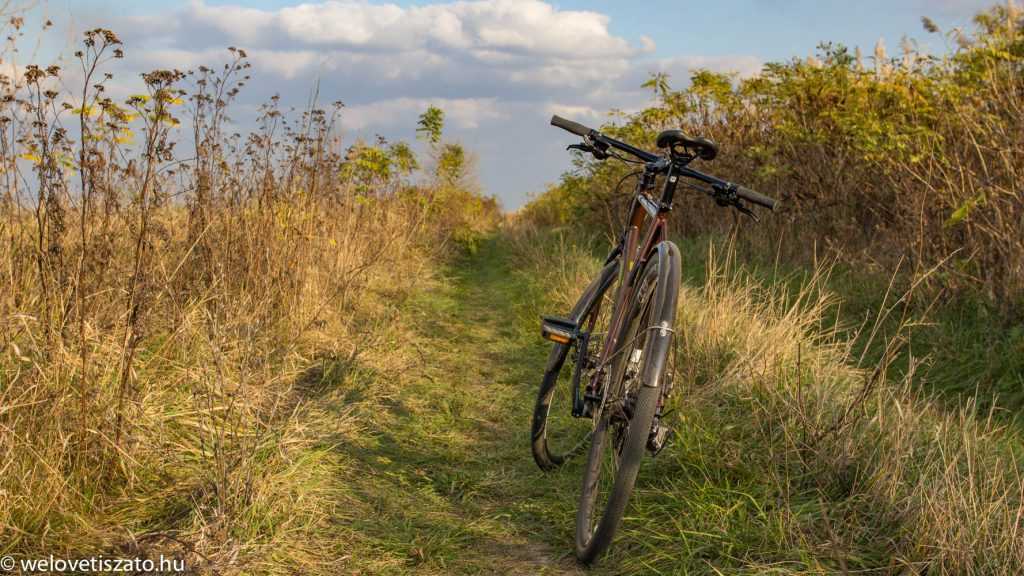 Bringatúrák a Tisza-tó körül: Tanyatúra