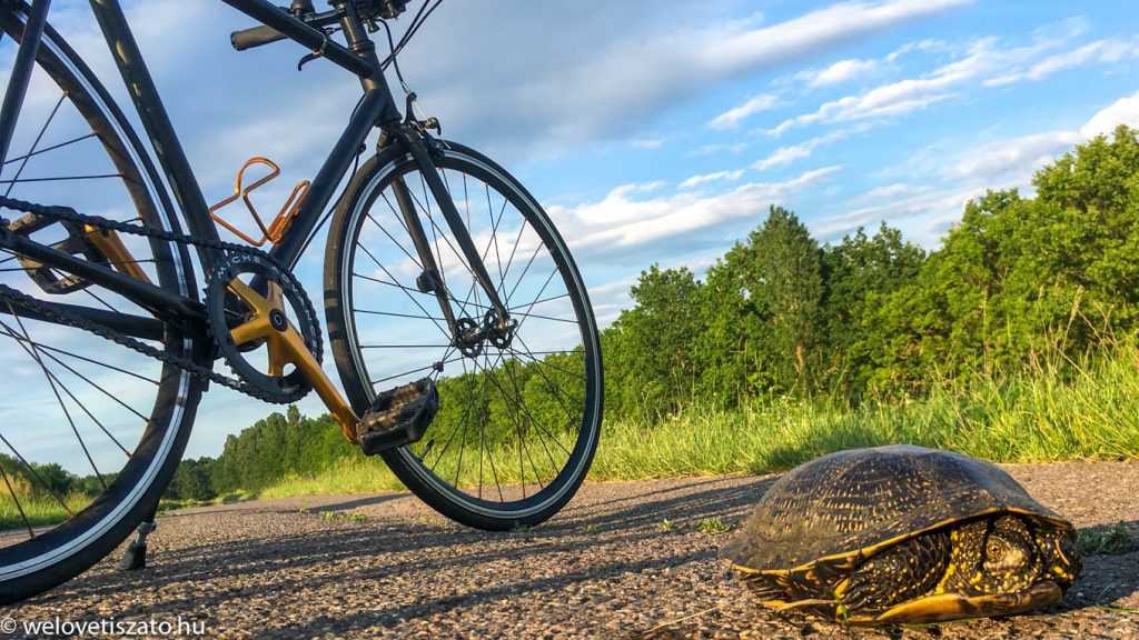 Bringatúrák a Tisza-tó körül: Tiszafüred-Tiszaderzs naplemente túra 30 km