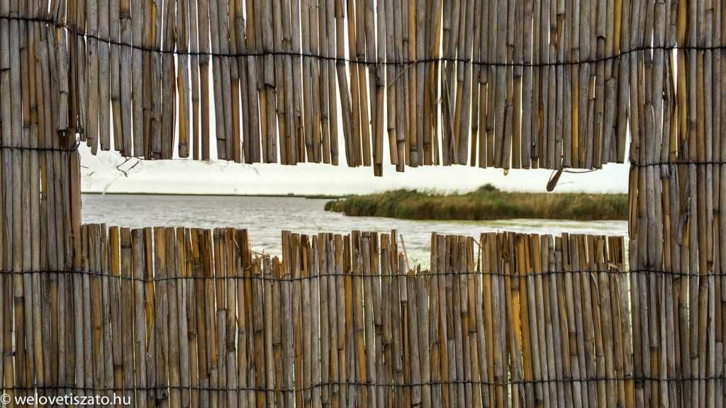 Daruvonulás ősszel a Tisza-tónál – kisvasúttal (is)