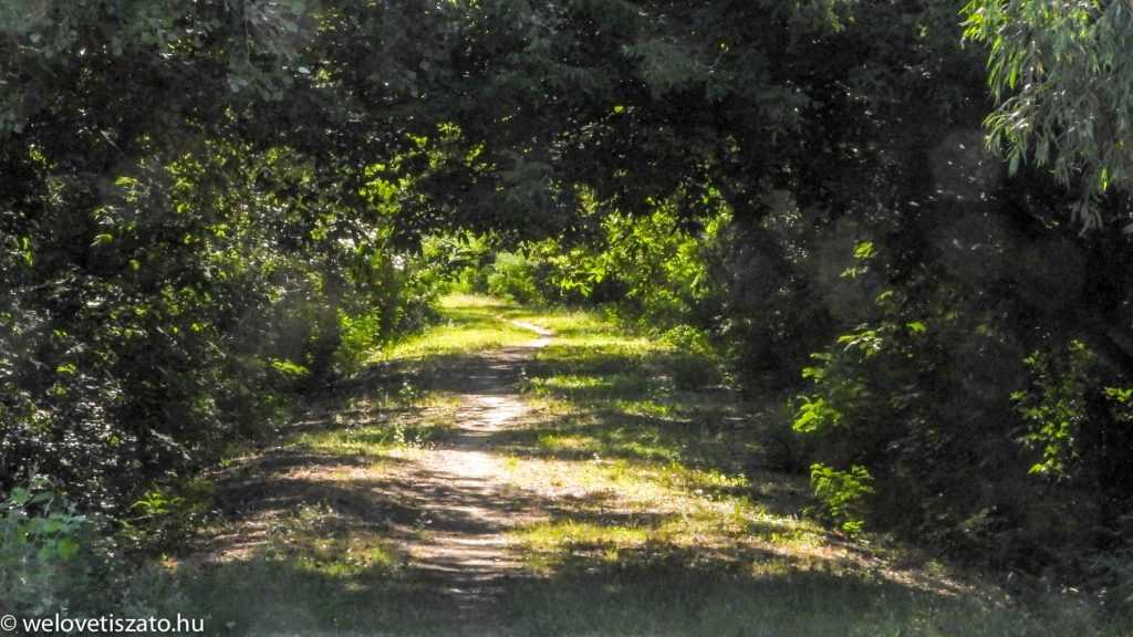 Bringatúrák a Tisza-tó körül: Abádszalókról indultunk két irányba