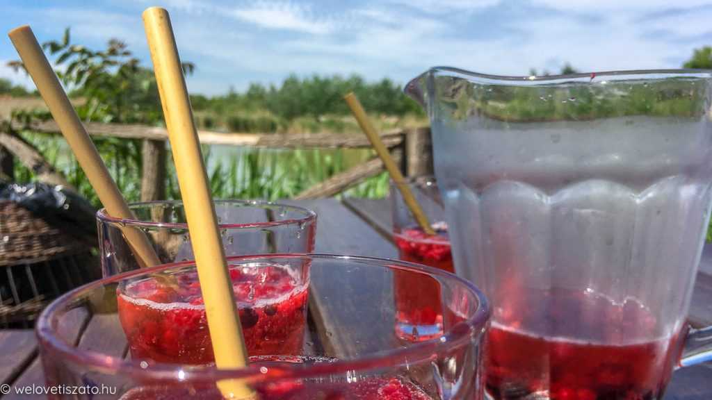 Most, hogy betiltják a szívószálat az EU-ban… Nagyon zöld cikk. Bambuszzöld.