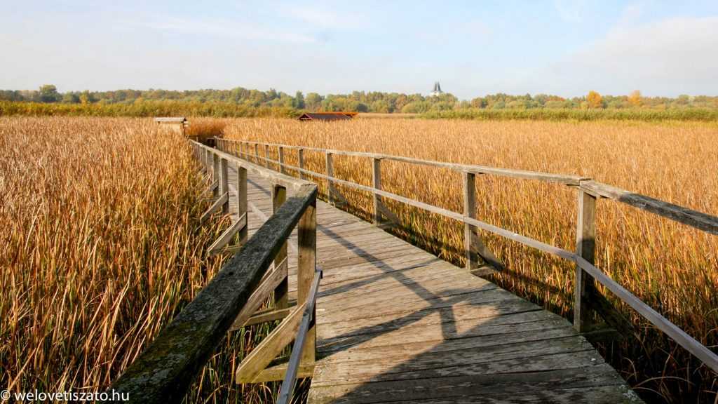 Programajánló: Tisza-tavi vízi sétány és az Ökocentrum