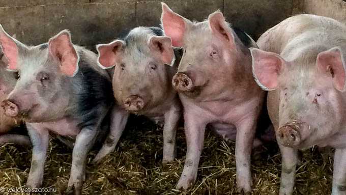 Programajánló a március 9-10 hétvégére