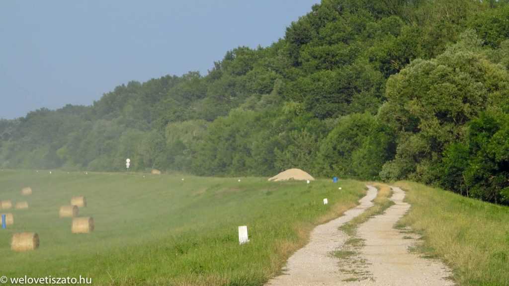 Bringatúrák a Tisza-tó körül: a “csendes” avagy kiskör