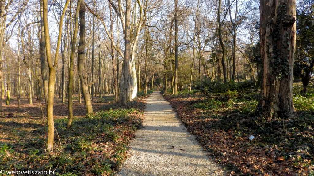 Tiszaigari Arborétum faluséta baglyokkal