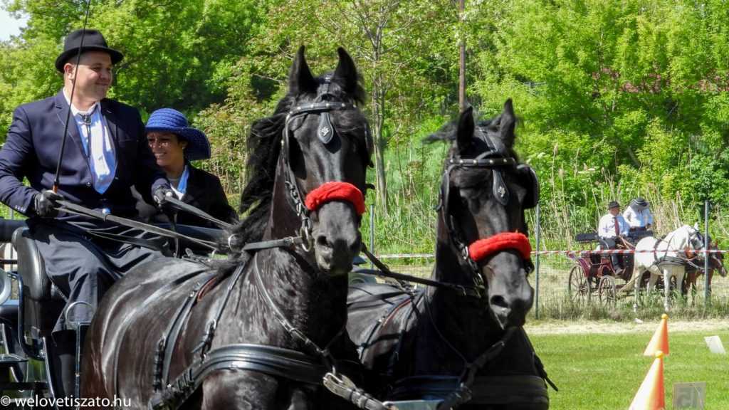 Ott voltunk: Fogathajtó verseny Poroszlón