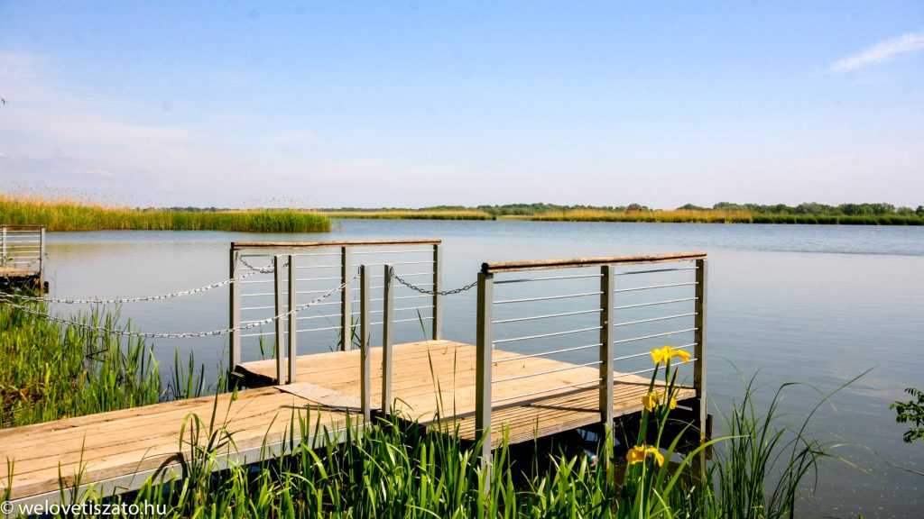 Tisza-tavi csónaktúrák, vízitúrák