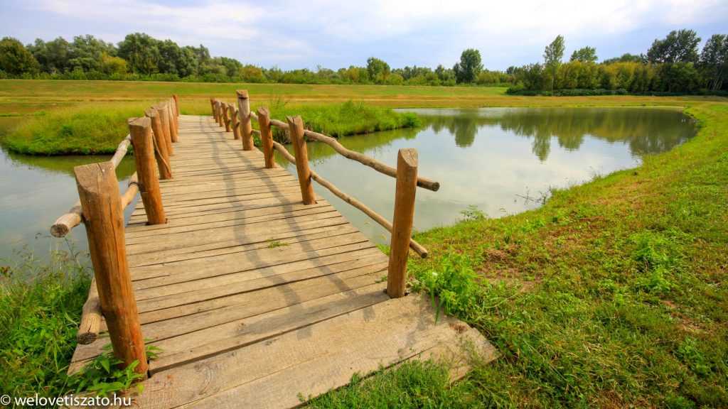 Ott voltunk: Kiskörei Csülökfőző Fesztivál