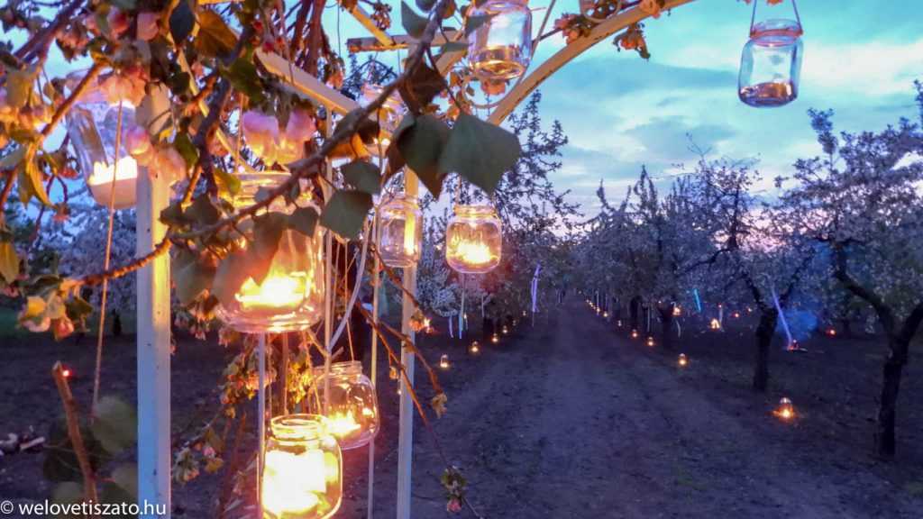 Ott voltunk: Virágzástól befőzésig – Nagykörű