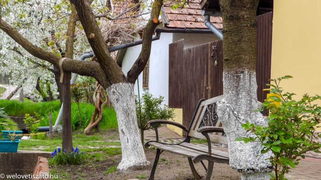 Nagykörű – Magyarország cseresznyéskertje